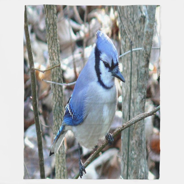Beautiful Blue Jay Fleecedecke (Vorderseite)