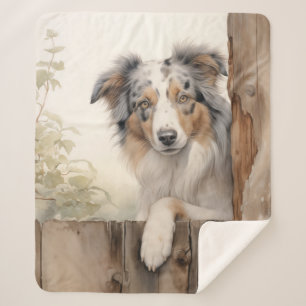 Beautiful Blue Merle Aussie Sherpadecke