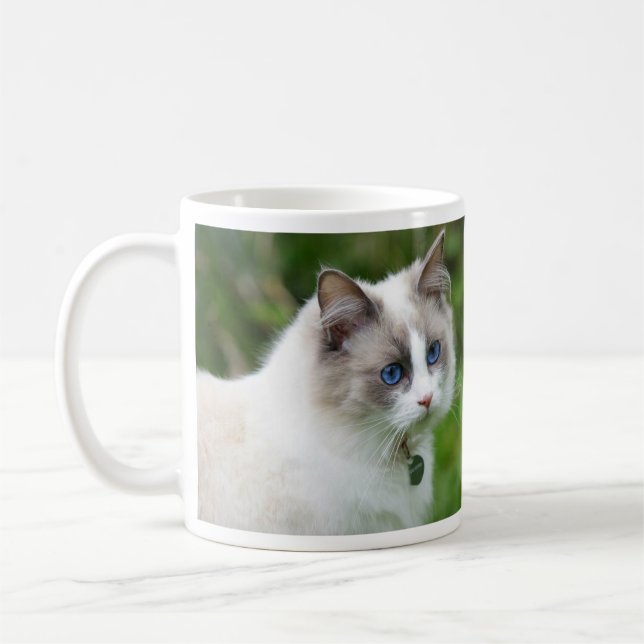 Beautiful Blue Mit Augen Ragdoll Kitten Kaffeetasse (Links)