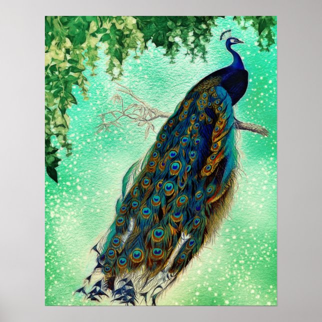 Beautiful Blue Peacock Nature Bird Schwanz Vintag Poster (Vorne)