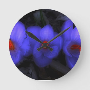 Beautiful Blue Purple Crocus Blooms Runde Wanduhr