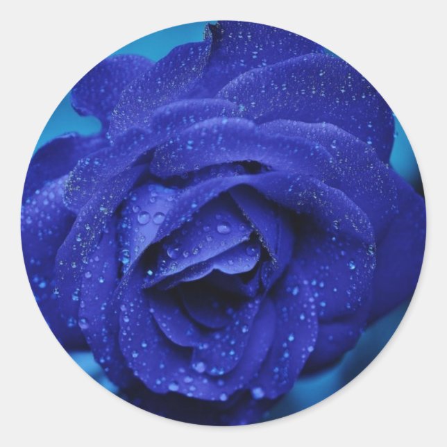Beautiful Blue Rose Sticker (Vorderseite)