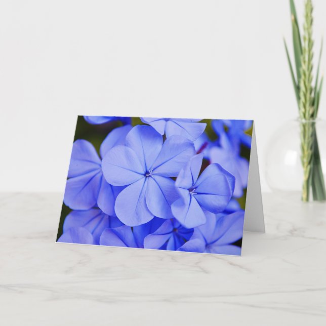 Beautiful Blue Tropical Blume Note Card Karte (Vorderseite)