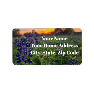 Beautiful Bluebonnet Flower Texas Sunest Adressaufkleber