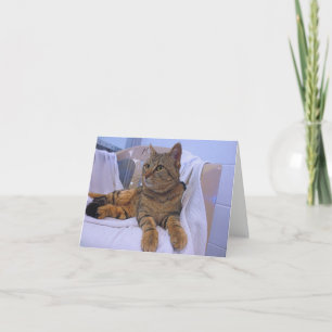 Beautiful Brown Tabby Karte
