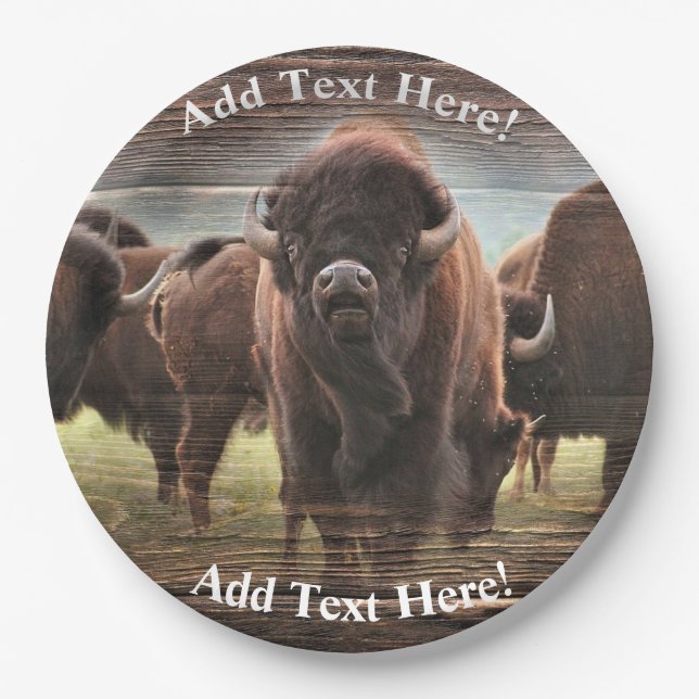 Beautiful Buffalo Herd Pappteller (Vorderseite)