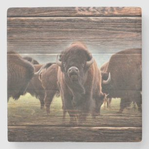 Beautiful Buffalo Herd Steinuntersetzer