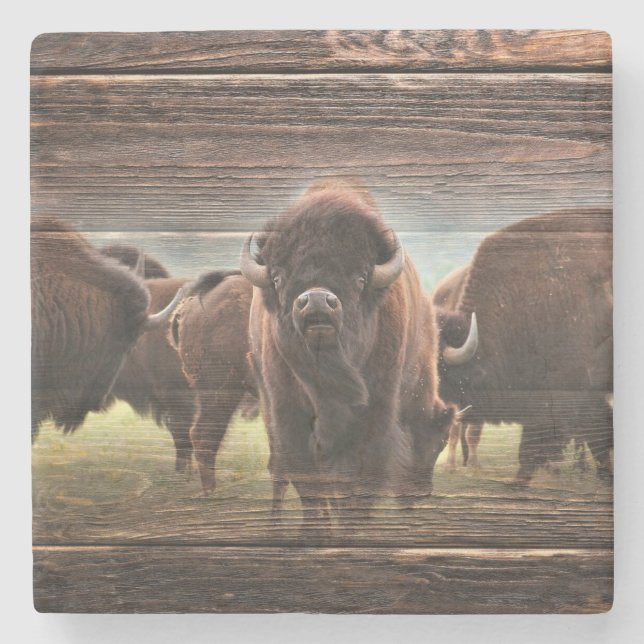 Beautiful Buffalo Herd Steinuntersetzer (Vorderseite)