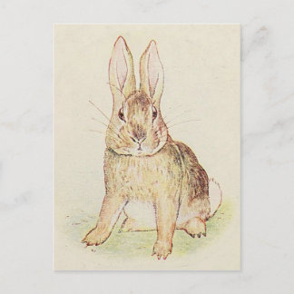 Beautiful Bunny Postkarte