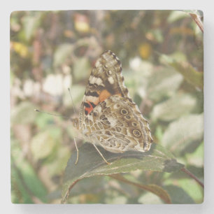 Beautiful Butterfly Stone Untersetzer