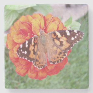 Beautiful Butterfly Stone Untersetzer