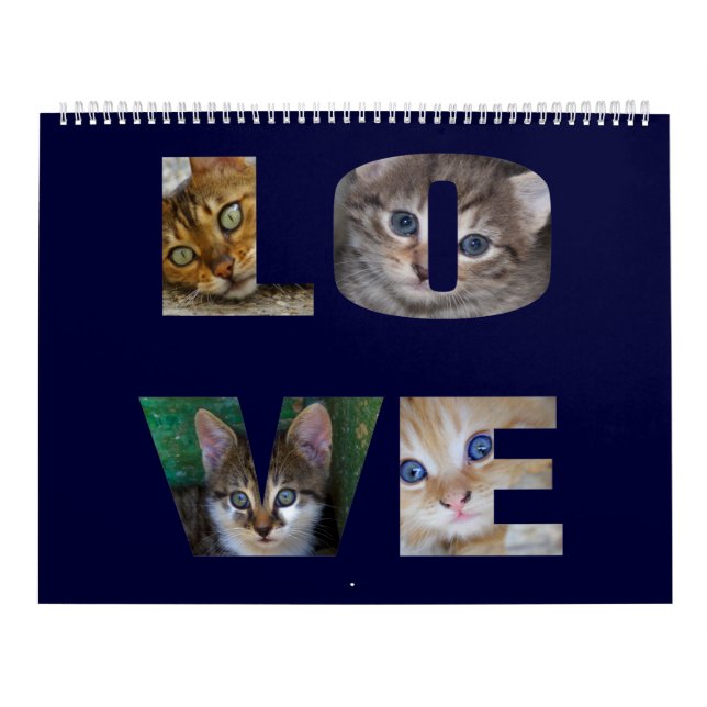 Beautiful Cats for all Who Love Them 2023 Calendar Kalender (Titelbild)