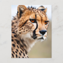Beautiful Cheetah Postkarte