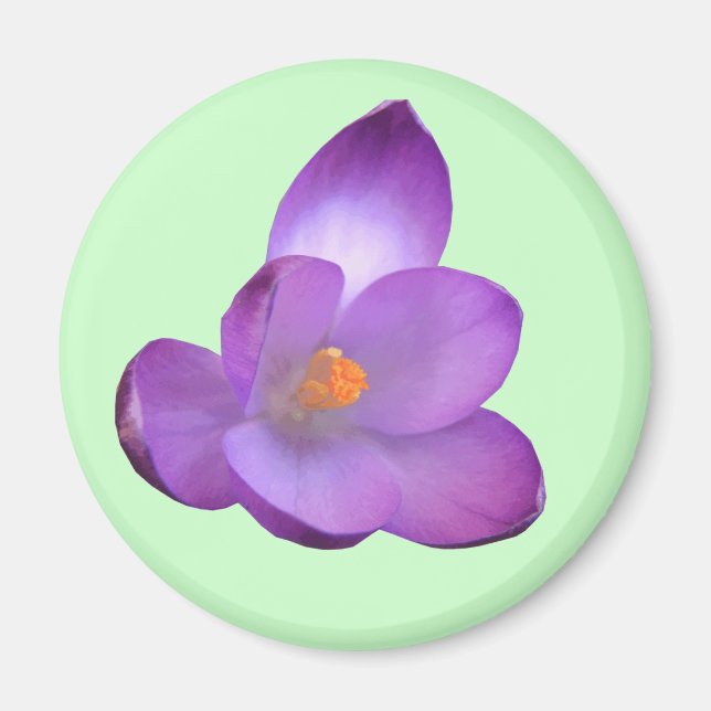 Beautiful Crocus Magnet (Vorne)