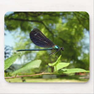 Beautiful Demoiselle Mouse Mat Mousepad