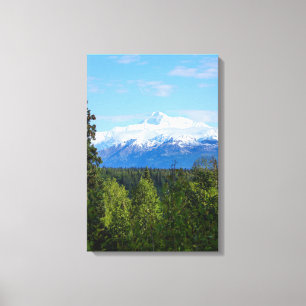 Beautiful Denali Leinwanddruck