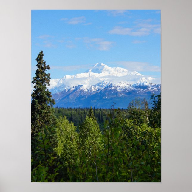 Beautiful Denali Poster (Vorne)