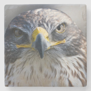 Beautiful Eagle Stone Untersetzer