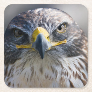 Beautiful Eagle Untersetzer Set