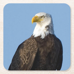 Beautiful Eagle Untersetzer Set