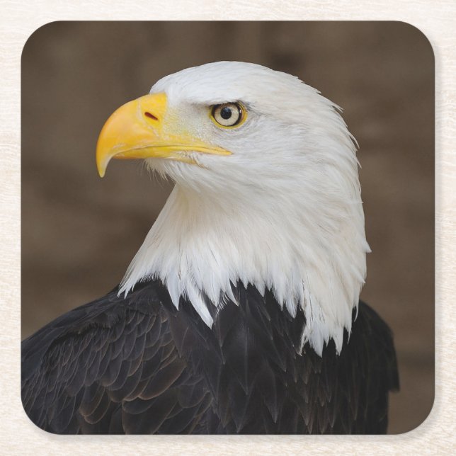 Beautiful Eagle Untersetzer Set (Vorderseite)