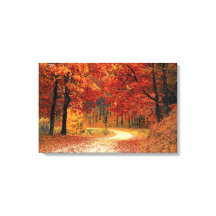 Beautiful Fall Road Canvas Print