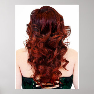 Beautiful Fire Ombre' Salon Poster