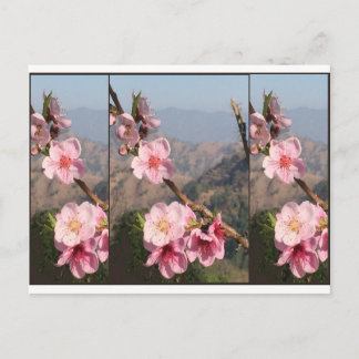 Beautiful Flower India UttraKHAND Fruit plantation Postkarte