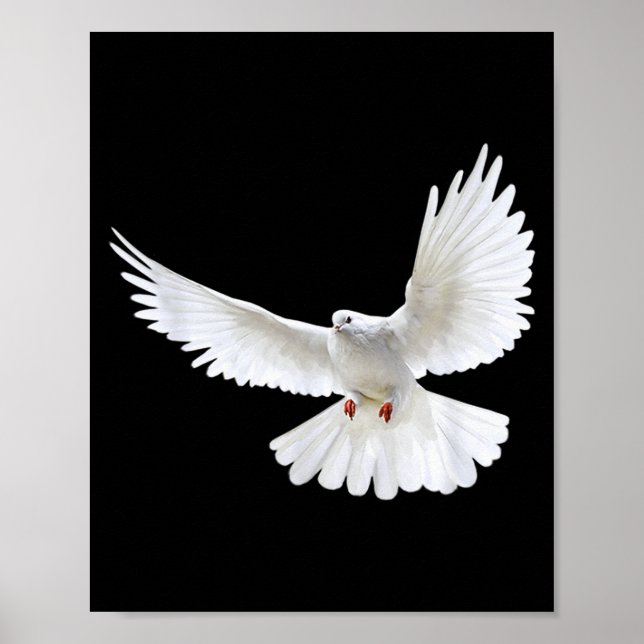 Beautiful Flying Peaceful White Dove Photo Silhoue Poster (Vorne)