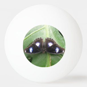 Beautiful Gepunktet Butterfly Pong Ball Tischtennisball