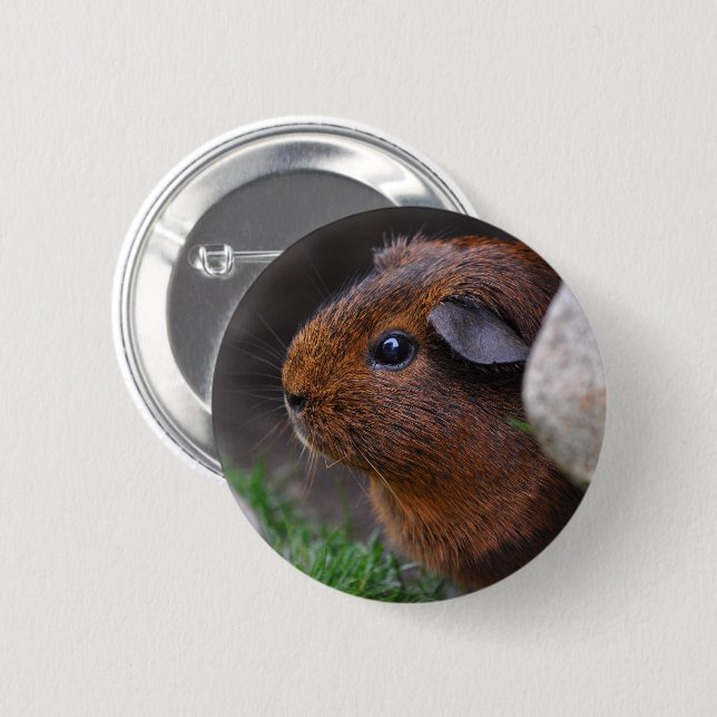 Beautiful Gold Agouti Guinea Pig Button (Vorne & Hinten)