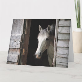 Beautiful Gray Mare Horse Rustic Ranch Karte