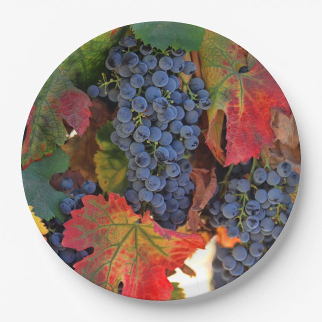 Beautiful Harvest Weinberg Weinberg Teller (Vorderseite)