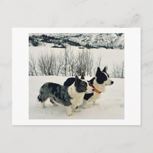 Beautiful Holiday Postkarte (Vorderseite)