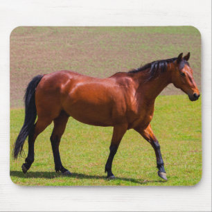 Beautiful Horse Mouse Mat Mousepad