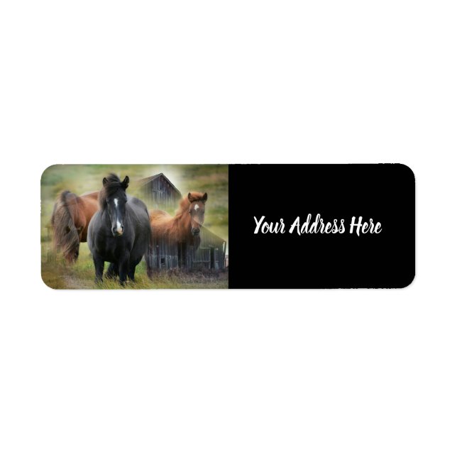 Beautiful Horses and Rustic Barn Label (Vorne)