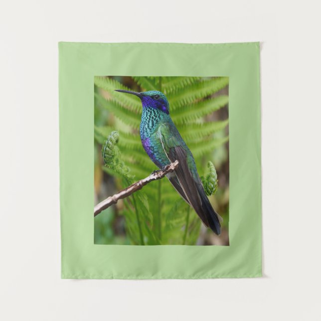 Beautiful Hummingbird Wandteppich (Vorderseite)