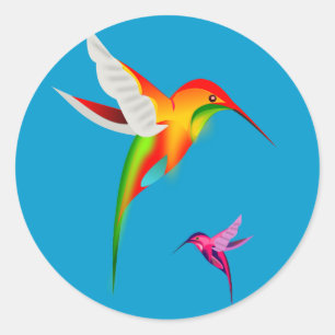 Beautiful Hummingbirds (Colibri) Runder Aufkleber