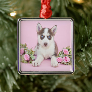 Beautiful Husky Puppy with Pink Roses Ornament Aus Metall