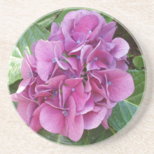 Beautiful Hydrangea Getränkeuntersetzer