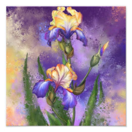 Beautiful Iris Blume - Malerei Fotodruck