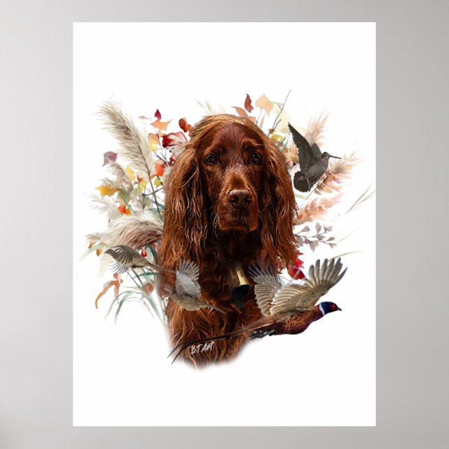 Beautiful Irish Red Setter Poster (Vorne)