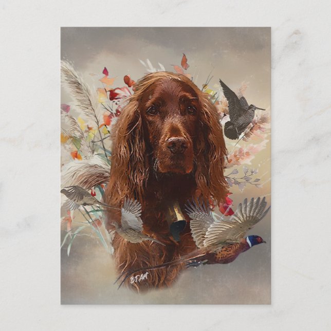 Beautiful Irish Red Setter Postkarte (Vorderseite)