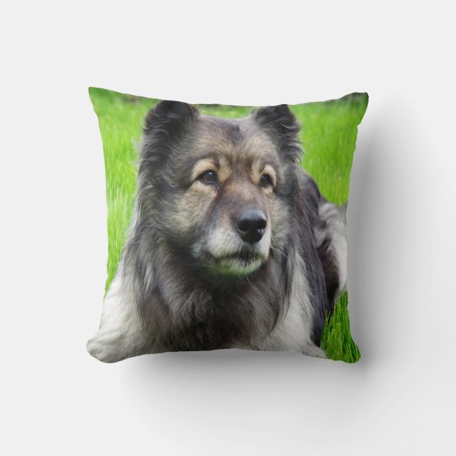 Beautiful Keeshond Kissen (Vorderseite)