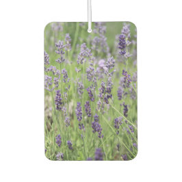 Beautiful Lavender Autolufterfrischer