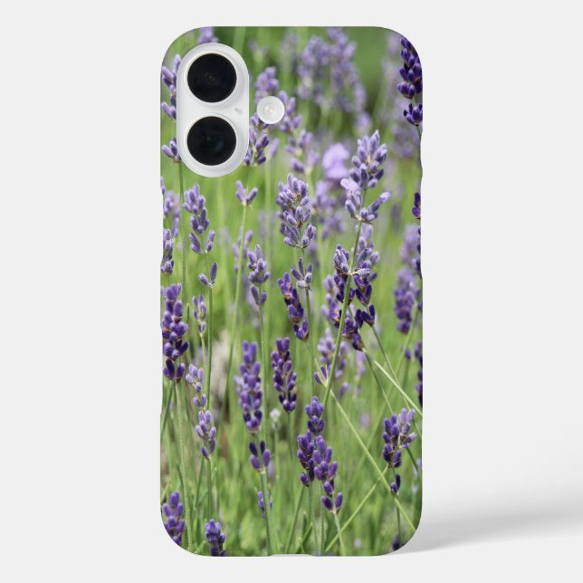 Beautiful Lavender iPhone 16 Hülle (Rückseite)