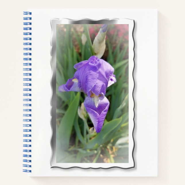Beautiful Light Blue Iris Notizbuch (Vorderseite)