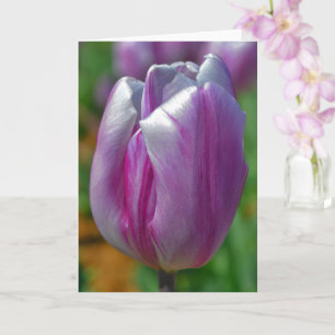 Beautiful Lila Tulip Blume Art Note Card Karte