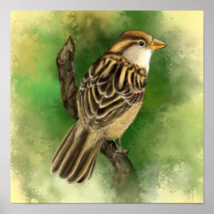 Beautiful Little Sparrow Poster Paintin