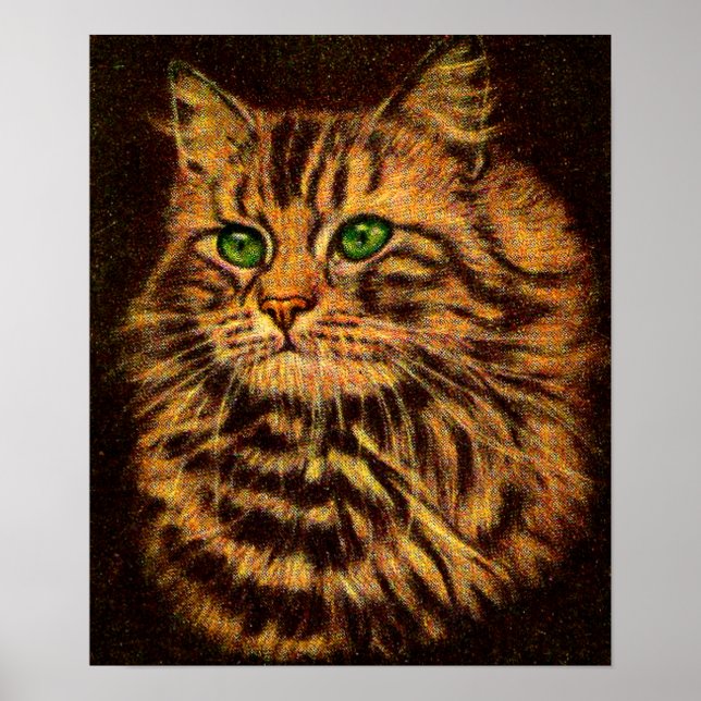 Beautiful Long Haired Tabby Cat Poster (Vorne)